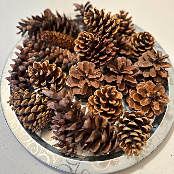 Pinecones Assorted Holiday Decor - Picture 4 of 5